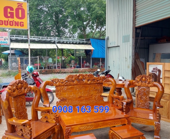 salon tràm bông vàng 